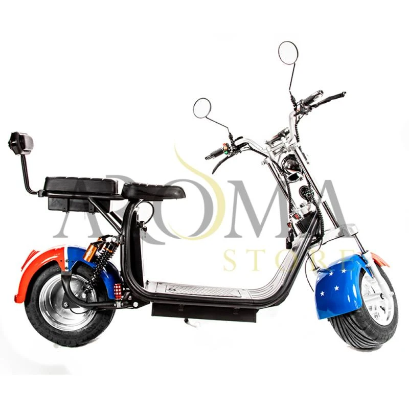 Moto Eletrica X11 1500W/ 2 Baterias/ 2 Assentos/ Aro 10- Estados Unidos